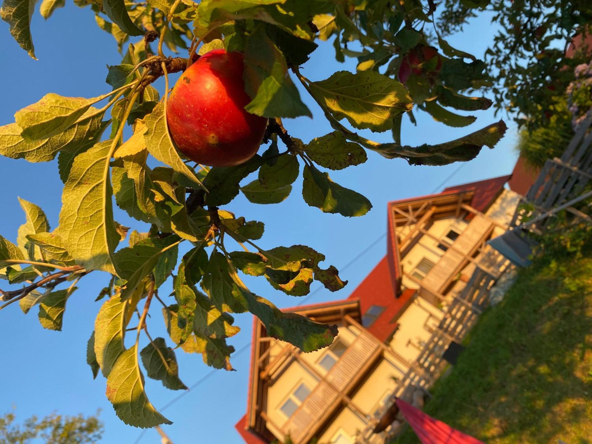 Aparthotel Fugger Alm Weichselbaum Esterno foto